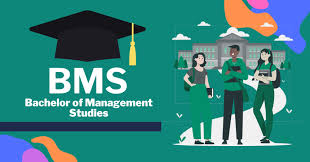 Bachelor of Management Studies (BMS)
